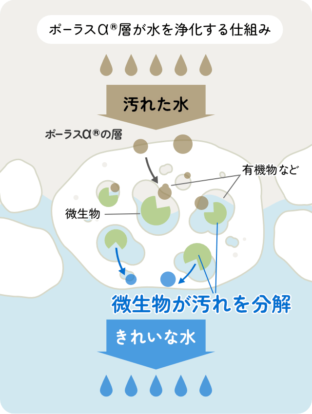 ポーラスアルファ層が水を浄化する仕組み。汚れた水がポーラスアルファにすむ微生物によって、有機物を分解され、綺麗な水になる。