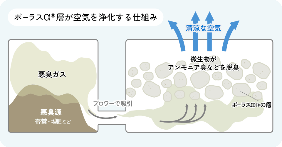 ポーラスアルファ層が空気を浄化する仕組み。臭いの元となるアンモニアがポーラスアルファの穴に吸着され、微生物によって分解されるイメージ写真