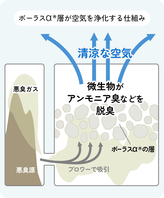 ポーラスアルファ層が空気を浄化する仕組み。臭いの元となるアンモニアがポーラスアルファの穴に吸着され、微生物によって分解されるイメージ写真