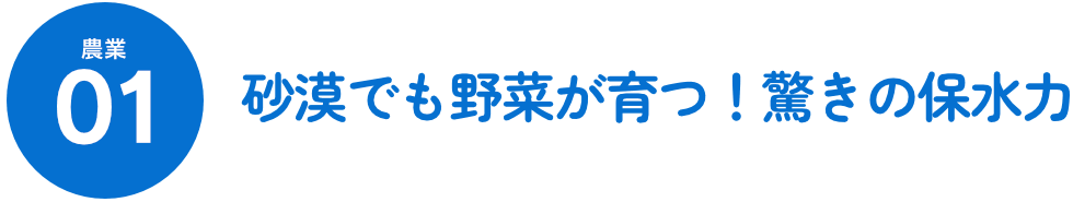 農業01 砂漠でも野菜が育つ!驚きの保水力