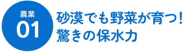 農業01 砂漠でも野菜が育つ！驚きの保水力
