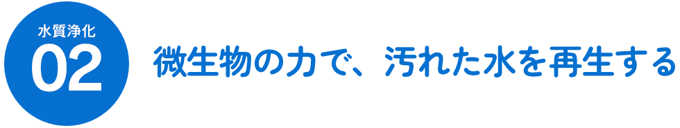 水質浄化02 微生物の力で、汚れた水を再生する