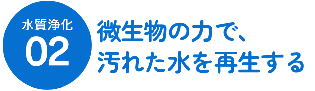水質浄化02 微生物の力で、汚れた水を再生する